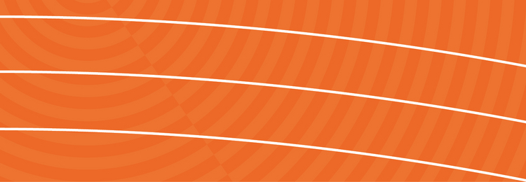 Header orange